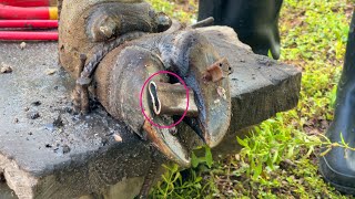 Ep57  Cleaning TV  Experts use stone to treat cows foot  THE CLEANING and CUTTUNG [upl. by Arita]