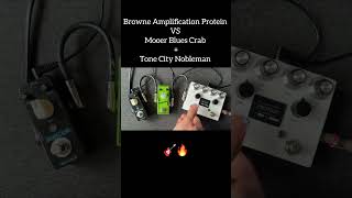 Browne Amplification Protein vs Mooer Blues Crab  Tone City Nobleman overdrivepedal guitarpedals [upl. by Anwahsat]