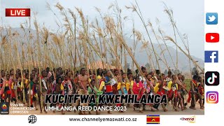 Kucitfwa Kwemhlanga  Umhlanga Reed Dance Ceremony 2023 [upl. by Anesor543]