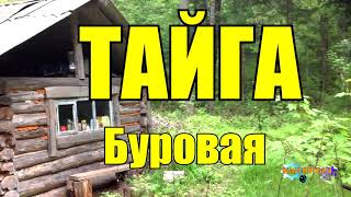 ТАЙГА  БУРОВАЯ УСТАНОВКА В ТАЙГЕ  ДОБЫЧА [upl. by Holt]