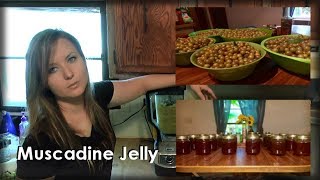 Making Muscadine Jelly [upl. by Hetti]