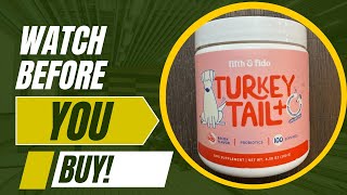 Review of Turkey Tail Mushroom for Dogs [upl. by Hamian171]