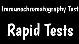 Rapid Tests  Immunochromatography Test  Lateral Flow Assay [upl. by Atrebla146]