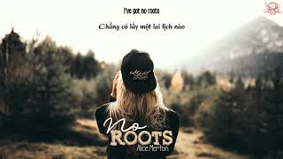 Lyrics Vietsub No roots  Alice Merton [upl. by Lauralee721]