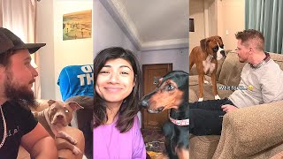 Bark at Your Dog Challenge 😂 TikTok Compilation 2023 2 [upl. by Bultman841]