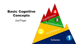 Basic Cognitive Concepts Schema Assimilation Accommodation Equilibration [upl. by Damien]