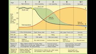TEORÍA DE LA TRANSICIÓN DEMOGRÁFICA [upl. by Aileda325]