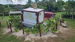 Hotel Memories Flamenco Beach Resort Cayo Coco Cuba [upl. by Onek]