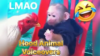 Hood Animal Voiceovers Talking Animal Compilation 💀 EP 26 [upl. by Snebur]