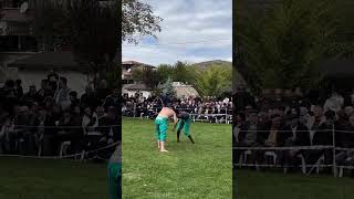 Arap mıstafa Koca yusuf yağlıgüreş mma judogi wrestling strongman [upl. by Musihc]