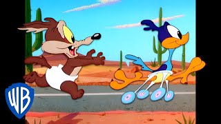 Looney Tunes  Baby Wile E Coyote and Baby Road Runner  Classic Cartoon  WB Kids [upl. by Lebasiram]