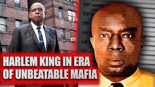 Why is BUMPY JOHNSON a legend of the underworld [upl. by Walliw]