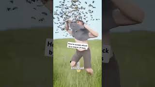 How to escape attack by a swarm of bees shorts bees [upl. by Phillida212]