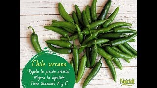 Plantando semillas de chile serrano y cuidado día 1 [upl. by Eiger]