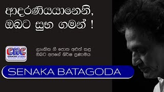 සොඳුරු කලාකරුවාණෙනි ඔබට සුභ ගමන්  Mr Senaka batagoda  all srilankens salute today for himself [upl. by Tomkin]