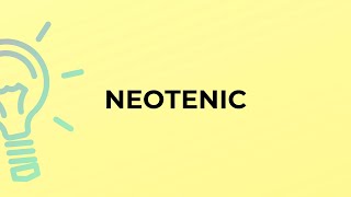 What is the meaning of the word NEOTENIC [upl. by Merce]