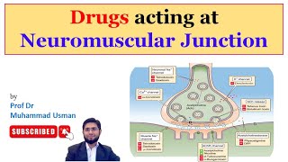 Drugs Acting at Neuromuscular Junction  Muscle Physiology [upl. by Llenrrad]