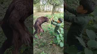 😰 Nekre Kam নেকড়ে বাঘে কাম😭 🕊️ 😱 werewolf trending attack help birds me shorts [upl. by Laro]