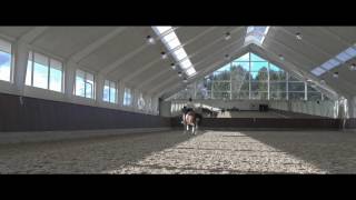 On the Road to the World Breeding Championships  Part 1 Simone Pearce [upl. by Panaggio]