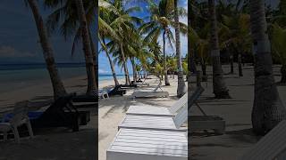 White Sands CrystalClear Waters and Coconut Trees Dumaluan Beach Bohol [upl. by Jesus]