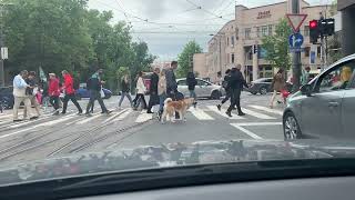 Beograd vožnja Maksima Gorkog Vračar  Kula Nebojša Kalemegdan [upl. by Cohleen]