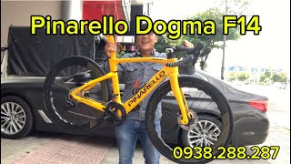 Pinarello Dogma F14 Full Shimano 7020 vành carbon Princenton 6560 [upl. by Hallvard]