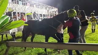 Night horse racing at the Garrison September 3 2022 Barbados [upl. by Burrton]