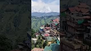 Darjeeling Dairies darjeeling westbengal neture [upl. by Aerdied]