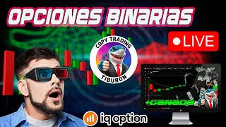 🔴TRADING OPCIONES BINARIAS🔴 218 USD ESTRATEGIA TIBURÓN SESIÓN COPY TRADING  IQ OPTION [upl. by Rastus830]