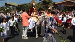 Domingo de Ramos 2014 [upl. by Margette]