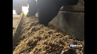 Diet Feeder Ready Chopped Straw [upl. by Hartfield]