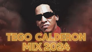 TEGO CALDERON MIX 2024  REGGAETON VIEJO MIX  REGGAETON CLASICO MIX 2024 [upl. by Evelc]