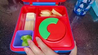 school lunchbox ideas for kids  easy healthy kids meal [upl. by Doownel]