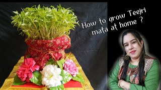 How to grow Teejri mata at home  Teejri teej Sindhi teejri sindhi festival [upl. by Appledorf]