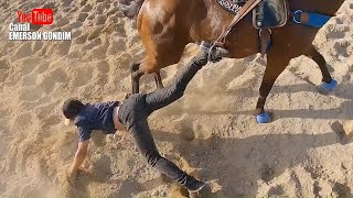 TREINO DE VAQUEJADA  CORRENDO GADO NO PARQUE GUARANI [upl. by Sgninnej884]