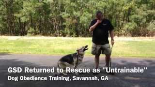 Can LowCountry Dog Trainers train an untrainable dog [upl. by Mullins695]