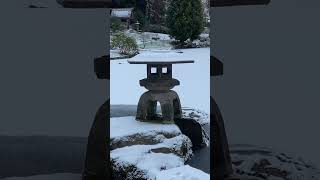 Cowden Gardens in the snow 🤌🏻🏴󠁧󠁢󠁳󠁣󠁴󠁿 ExploringScotland Scotland cowdengardens [upl. by Fauver]