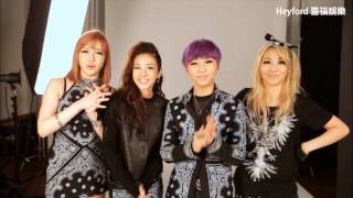 20121116台北小巨蛋演唱會 2NE1提前向台灣朋友們提前問好 [upl. by Porett924]