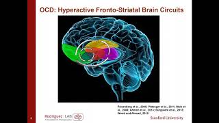 Toward Rapid Acting Treatments for OCD Carolyn Rodriguez 2017 [upl. by Hicks207]