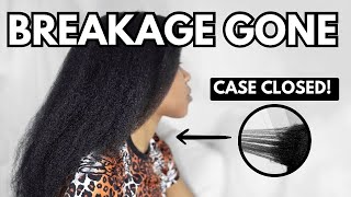 How to STOP BREAKAGE  Solutions  Understanding Breakage vs Shedding  Natural Hair [upl. by Grussing]