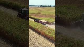 Incredible Aerial Views of Majestic Harvests [upl. by Asalocin109]