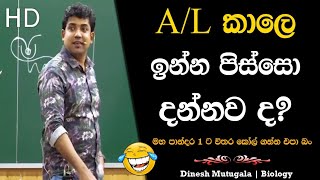 කනට ගහල කියන්න ඕන මම දියුණු උනා කියල 😂  Dinesh Muthugala  dineshmuthugala muthugalasir [upl. by Fasto]