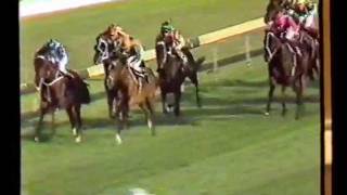 McGinty1984 Rawson Stakes [upl. by Alleon]