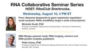 RNA Collaborative  Riboclub Sherbrooke  August 10 2022 [upl. by Sumahs796]