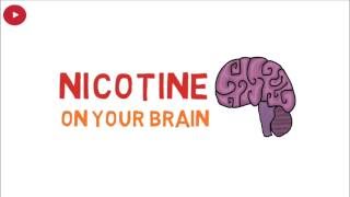 effects of nicotine on your brain [upl. by Ybeloc]