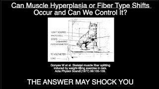 Can Muscle Hyperplasia or Fiber Type Shifts Occur and Can We Control It THE ANSWER MIGHT SHOCK YOU [upl. by Kursh80]