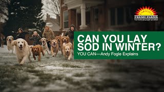 Can You Lay Sod in Winter YOU CAN Andy Fogle Explains [upl. by Tessil]