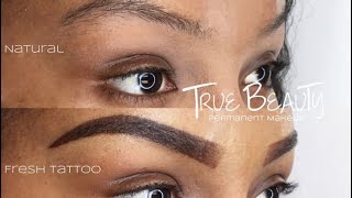 OMBRE BROW TATTOO UPDATE Permanent Eyebrows [upl. by Domenech]