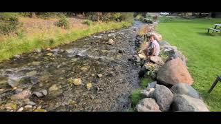 Kokanee Spawning In The Wallowa River [upl. by Ibby]