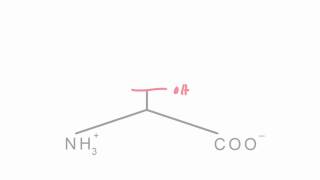 Memorize the 20 amino acids in 20 minutes Part 1 [upl. by Denice165]